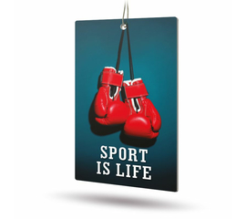 Ароматизатор AVS APS-009 Sport is Life (аром. Fire Ice/Огненный лёд) (бумажные)