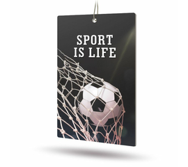 Ароматизатор AVS APS-030 Sport is Life (аром. Citrus/Цитрус) (бумажные)