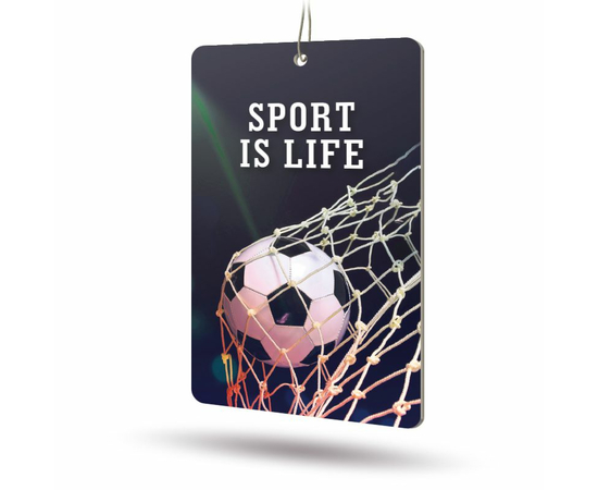 Ароматизатор AVS APS-025 Sport is Life (аром. Leader/Лидер) (бумажные)